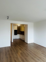 Pronájem bytu 2+kk v osobním vlastnictví 93 m², České Budějovice