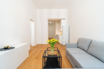 Pronájem bytu 2+kk v osobním vlastnictví 55 m², Praha 3 - Vinohrady