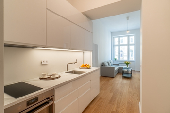 Pronájem bytu 2+kk v osobním vlastnictví 55 m², Praha 3 - Vinohrady