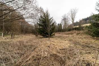 Prodej pozemku 1100 m², Červená Voda