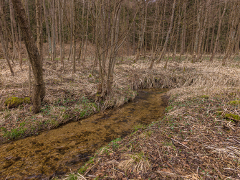 Prodej pozemku 1100 m², Červená Voda