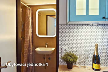 Prodej bytu 1+kk v osobním vlastnictví 25 m², Praha 5 - Smíchov