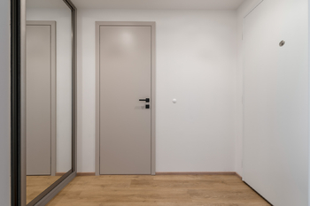 Pronájem bytu 1+kk v osobním vlastnictví 36 m², Praha 3 - Žižkov