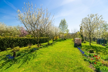 Prodej domu 126 m², Jedovnice
