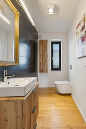 Prodej domu 285 m², Čestlice