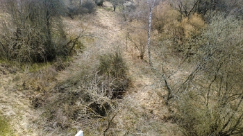 Prodej pozemku 2527 m², Malšín