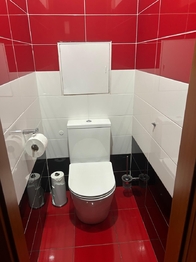 Pronájem bytu 3+1 v osobním vlastnictví 80 m², Velká Hleďsebe