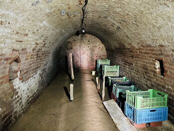 Pronájem bytu 2+1 v osobním vlastnictví 75 m², Bzenec