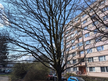 Prodej bytu 3+1 v osobním vlastnictví 69 m², Ústí nad Labem