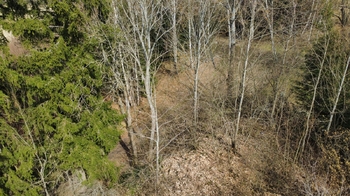 Prodej pozemku 921 m², Malšín