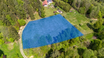 Prodej pozemku 5335 m², Cvikov