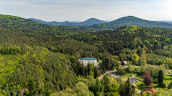 Prodej pozemku 5335 m², Cvikov