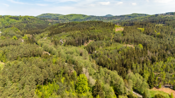 Prodej pozemku 5335 m², Cvikov