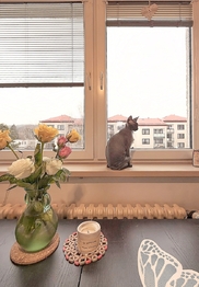 Prodej bytu 3+1 v osobním vlastnictví 83 m², Týnec nad Sázavou