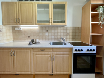 Pronájem bytu 3+kk v osobním vlastnictví 56 m², Benešov