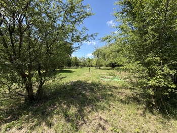 Pronájem pozemku 2982 m², Lipník nad Bečvou