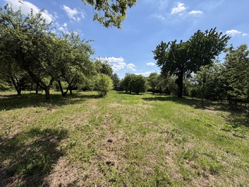 Pronájem pozemku 2982 m², Lipník nad Bečvou