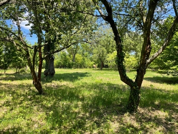 Pronájem pozemku 2982 m², Lipník nad Bečvou