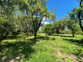 Pronájem pozemku 2982 m², Lipník nad Bečvou