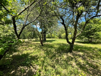 Pronájem pozemku 2982 m², Lipník nad Bečvou