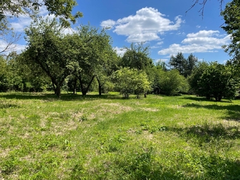 Pronájem pozemku 2982 m², Lipník nad Bečvou