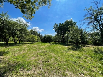 Pronájem pozemku 2982 m², Lipník nad Bečvou