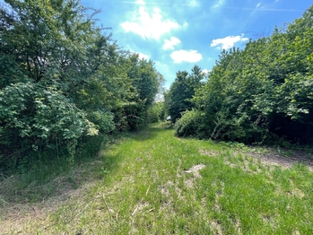 Pronájem pozemku 2982 m², Lipník nad Bečvou