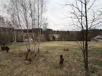 Prodej pozemku 2264 m², Horní Brusnice