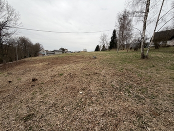 Prodej pozemku 2264 m², Horní Brusnice