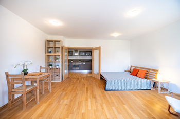 HLAVNÍ POKOJ - Pronájem bytu 1+1 v osobním vlastnictví 43 m², Praha 5 - Radlice