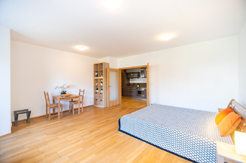 HLAVNÍ POKOJ - Pronájem bytu 1+1 v osobním vlastnictví 43 m², Praha 5 - Radlice