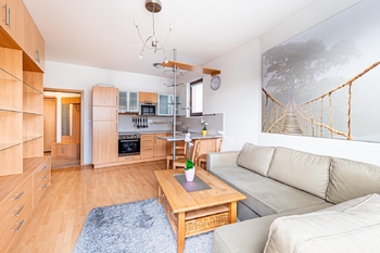 Obývací pokoj s kuchyňským koutem - Pronájem bytu 2+kk v osobním vlastnictví 47 m², Praha 5 - Smíchov