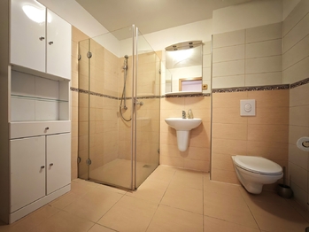 Pronájem bytu 2+kk v osobním vlastnictví 48 m², Čeladná