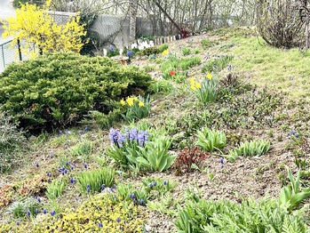 Prodej domu 85 m², Strážovice