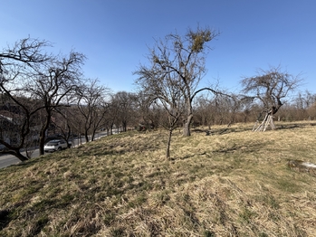 Prodej pozemku 1536 m², Bojkovice