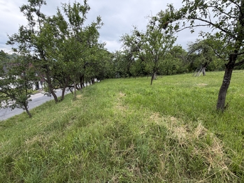 Prodej pozemku 1536 m², Bojkovice