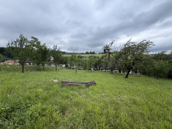 Prodej pozemku 1536 m², Bojkovice