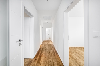 Hlavní chodba - Prodej domu 118 m², Planá nad Lužnicí