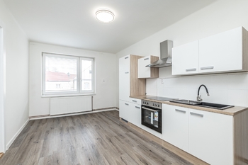 Prodej bytu 1+1 v osobním vlastnictví 65 m², Čistá