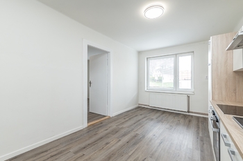 Prodej bytu 1+1 v osobním vlastnictví 65 m², Čistá