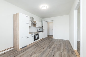 Prodej bytu 1+1 v osobním vlastnictví 65 m², Čistá