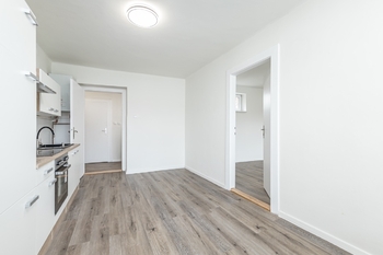 Prodej bytu 1+1 v osobním vlastnictví 65 m², Čistá