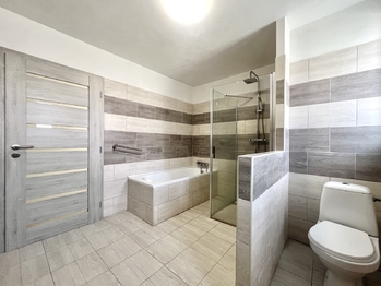 Prodej bytu atypický v osobním vlastnictví 235 m², Jirkov