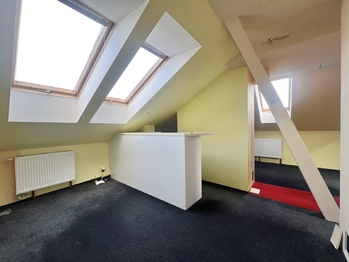 Prodej bytu atypický v osobním vlastnictví 235 m², Jirkov