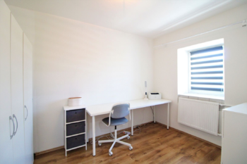 Prodej domu 378 m², Údlice