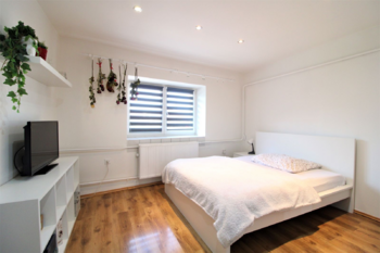 Prodej domu 378 m², Údlice