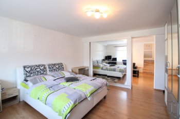 Prodej domu 378 m², Údlice