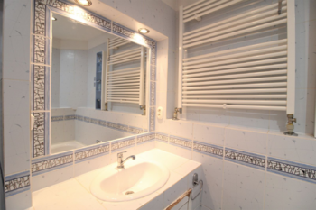 Prodej domu 378 m², Údlice