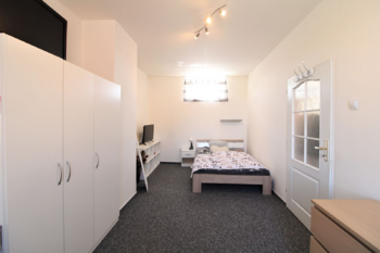 Prodej domu 378 m², Údlice