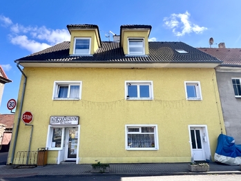 Prodej domu 378 m², Údlice